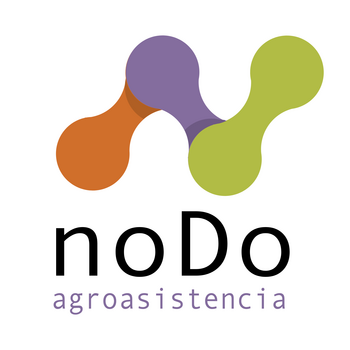 Nodo Logo PNG
