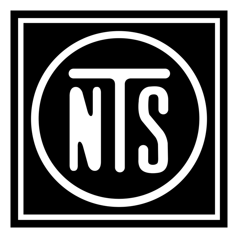 NTS Logo PNG Vector, Icon