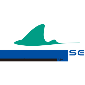 Роснано ФИОП Logo PNG