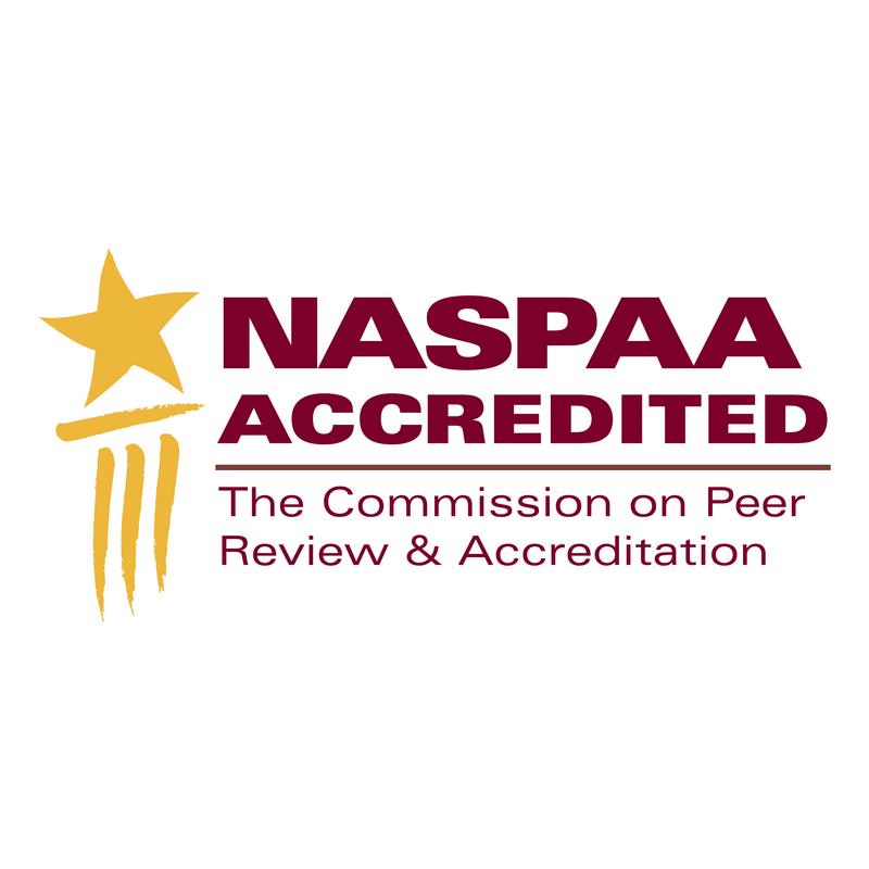 Naspaa Logo PNG Vector  PNG