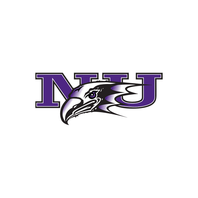 Niagara Purple Eagles Logo PNG Vector  PNG