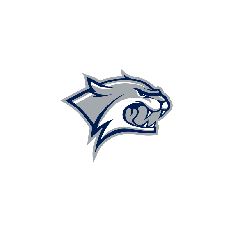 New Hampshire Wildcats Logo PNG Vector  PNG