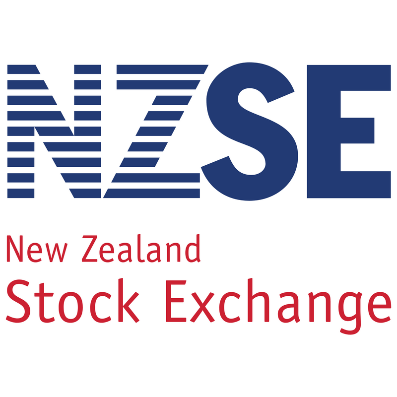 Nzse Logo PNG Vector  PNG