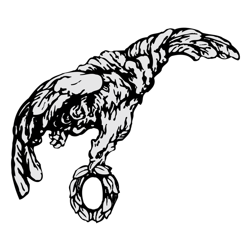 Orzel Lotnictwa Logo PNG Vector  PNG