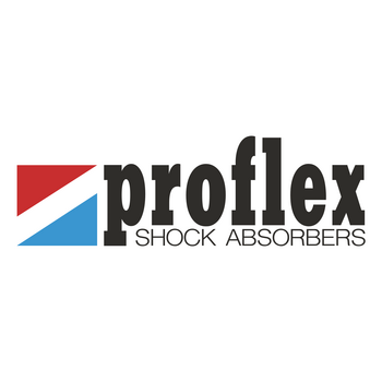 Proflex 로고 PNG