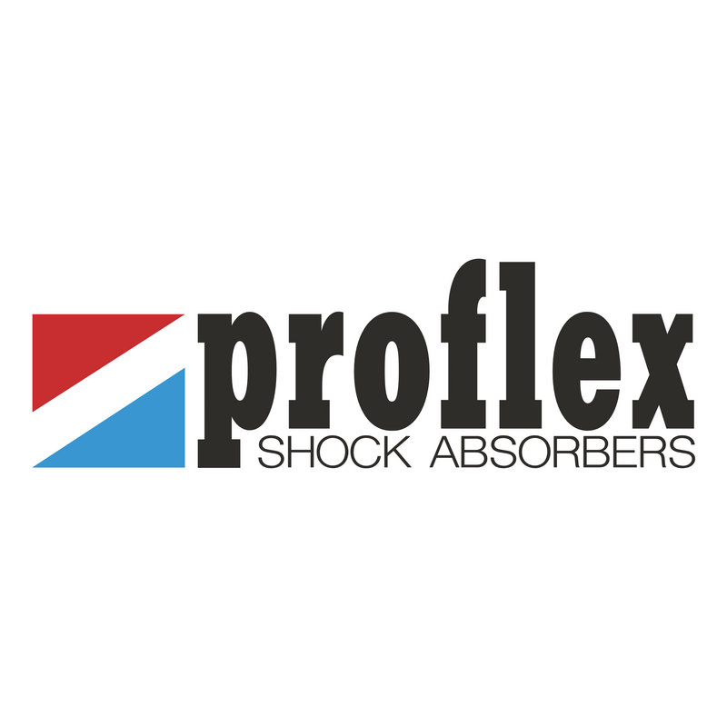 Proflex Logo PNG Vector  PNG