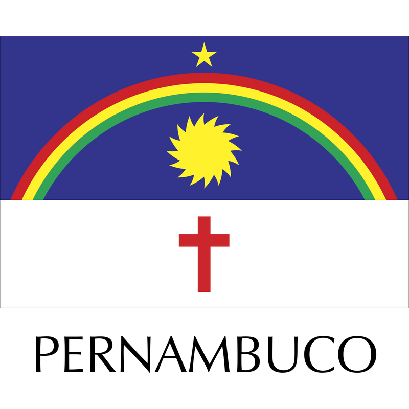 Pernambuco Logo PNG Vector  PNG