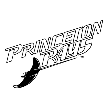 Princeton Devil Rays Logo PNG