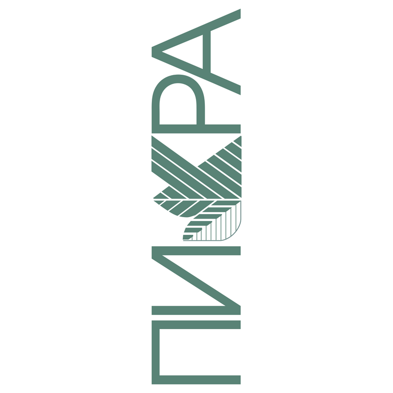 Pikra Logo PNG Vector  PNG