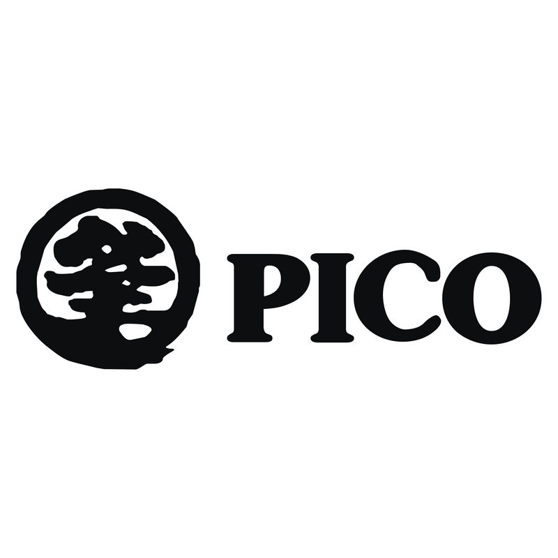 Pico Logo PNG Vector  PNG