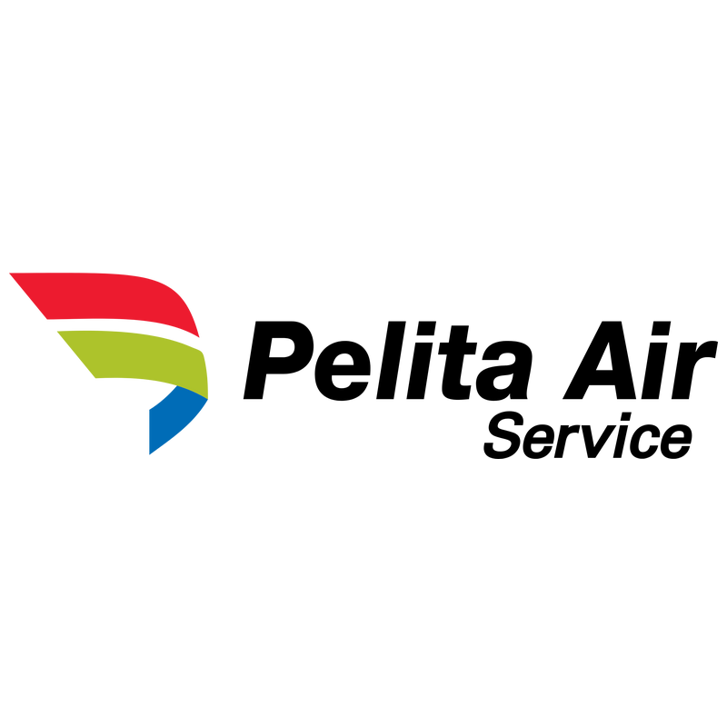 Pelita Air Service Logo PNG Vector  PNG