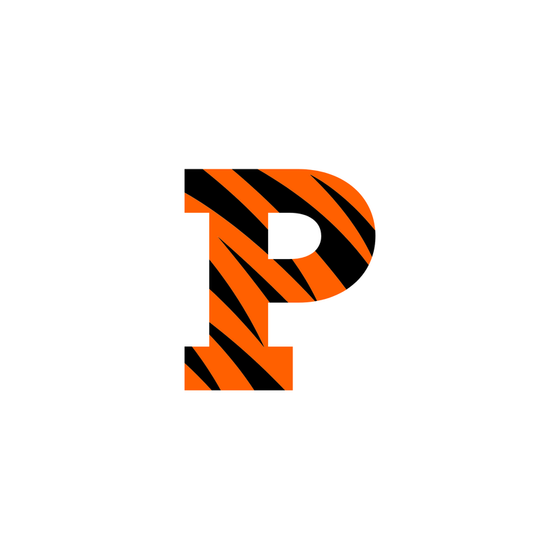 Princeton Tigers Logo PNG Vector  PNG