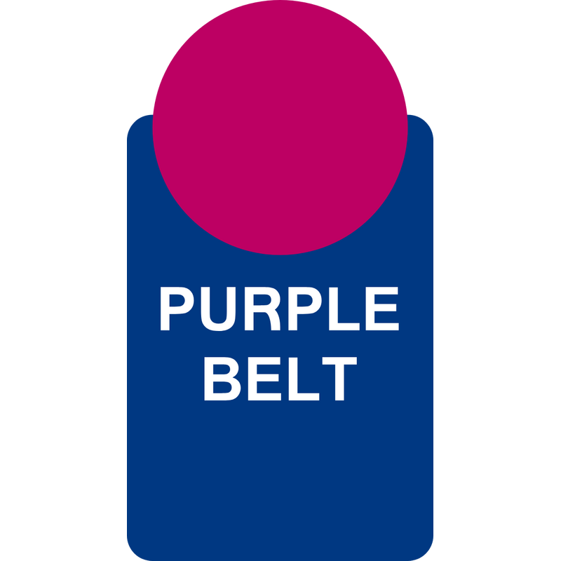 Pittsburgh PA Purple Belt Logo PNG Vector, Icon Transparent