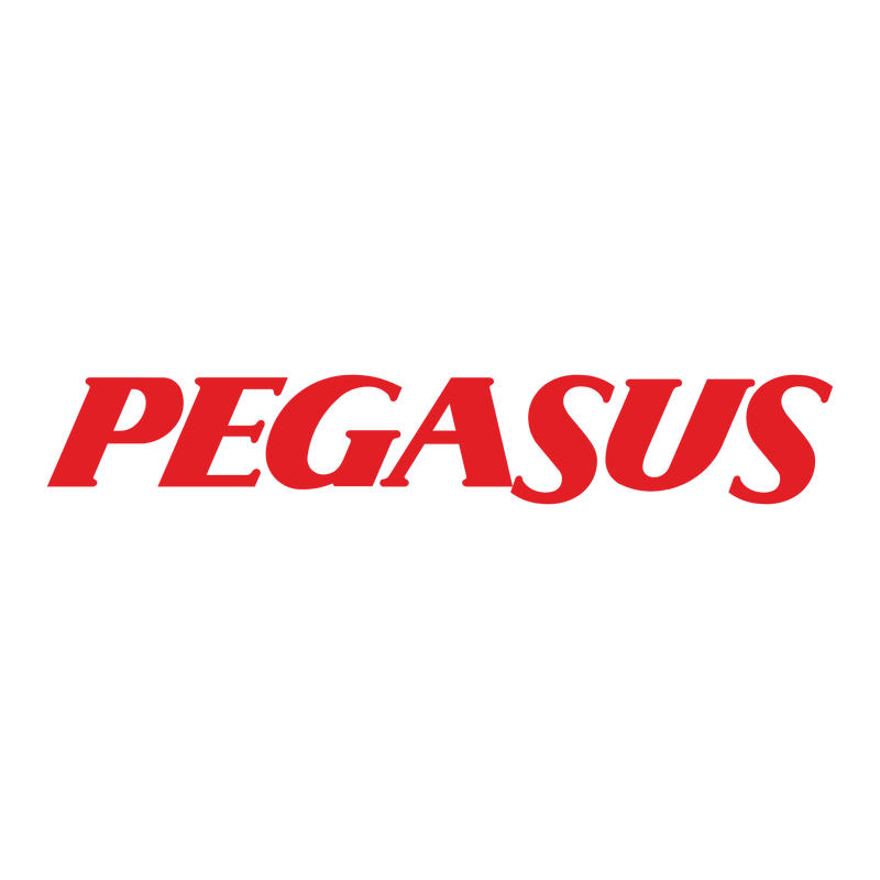 Pegasus Airlines Logo PNG Vector  PNG