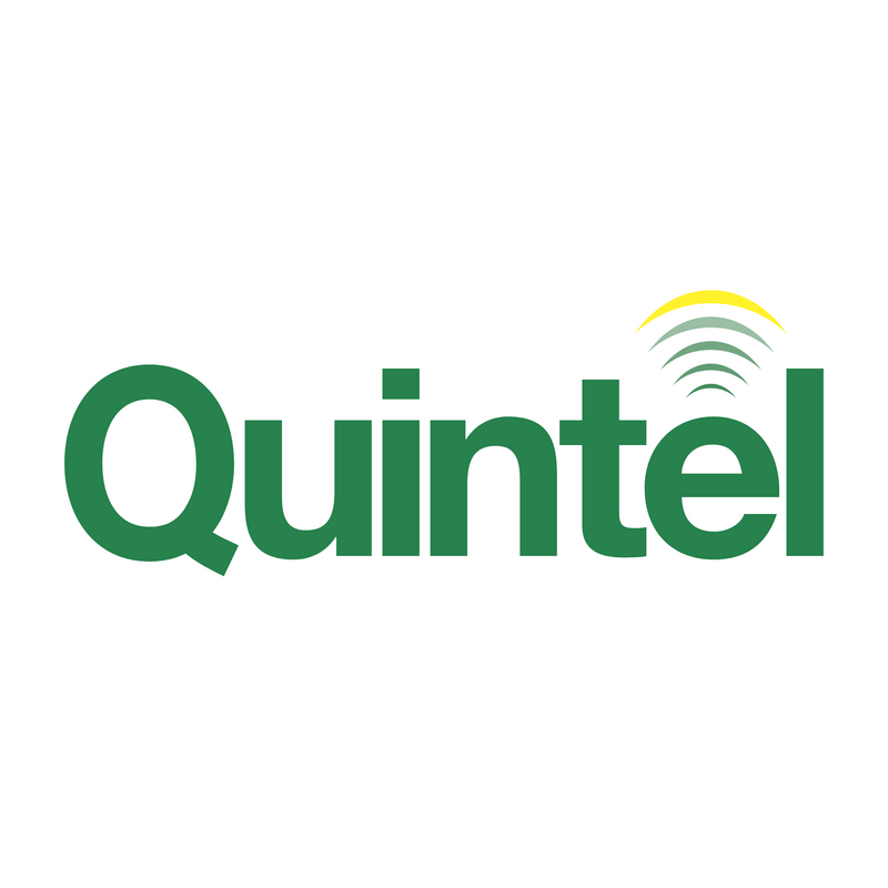 Quintel Logo PNG Vector  PNG