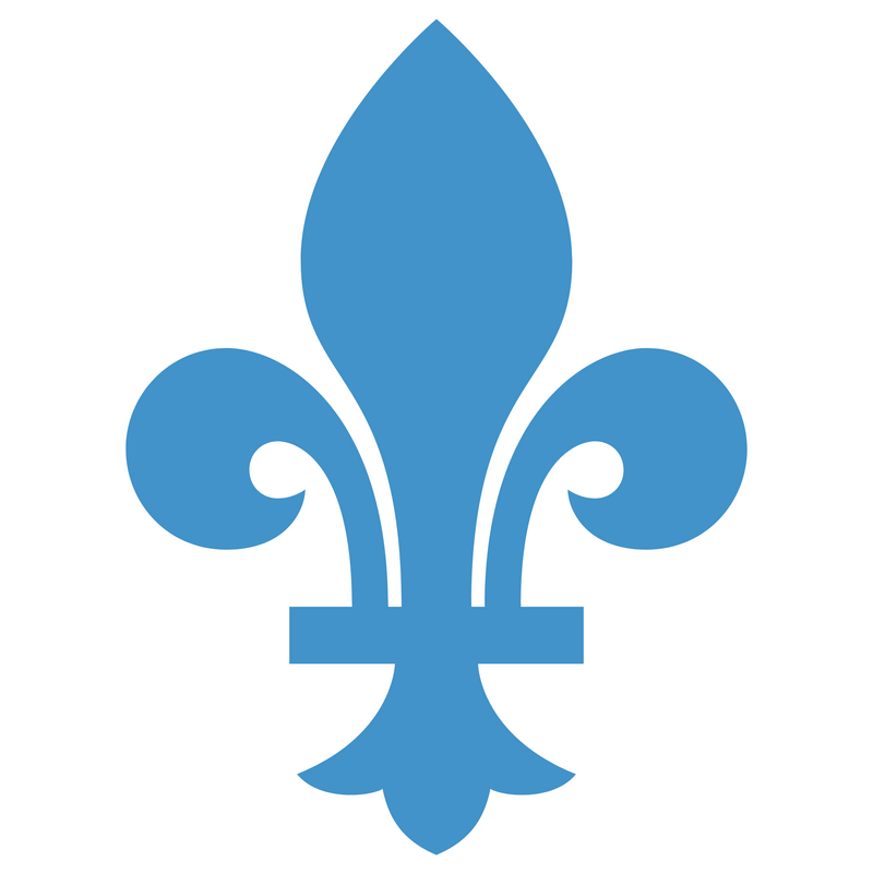 Quebec Nordiques 标志 PNG Vector  PNG