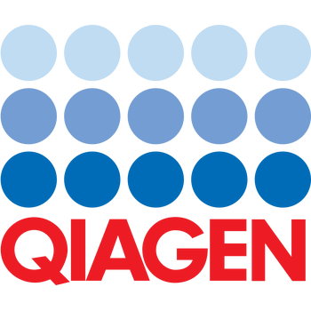 Qiagen Logo PNG