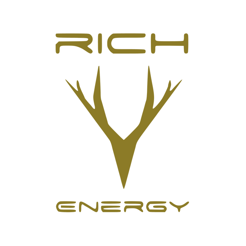 Richenergy Logo PNG Vector, Icon