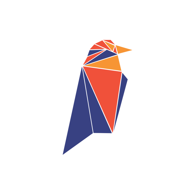 Ravencoin Logo PNG Vector  PNG