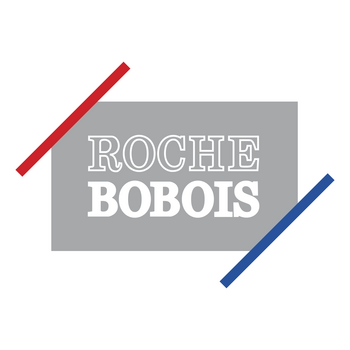 Roche Bobois Logo PNG