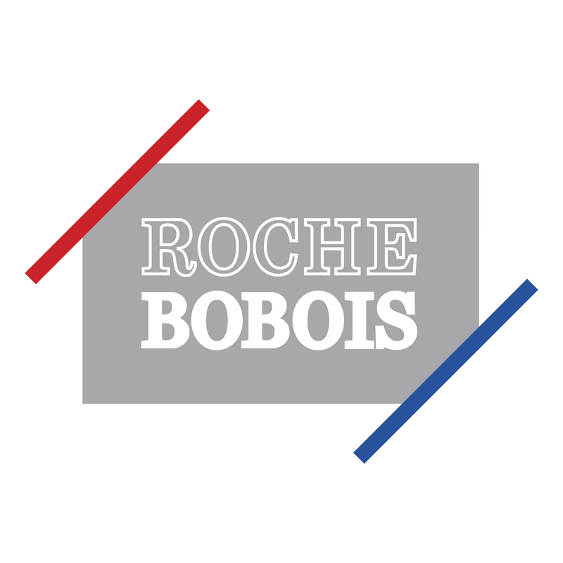Roche Bobois Logo PNG Vector  PNG