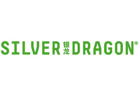 Silver Dragon Logo PNG Vector  EPS