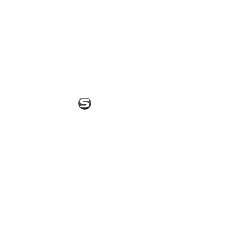 Seletronic Logo PNG Vector  PNG