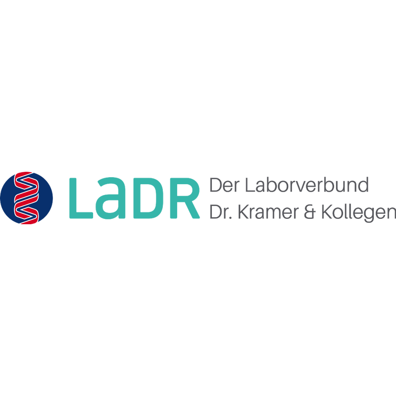 SONIC LADR DerLaborverbund Logo svg