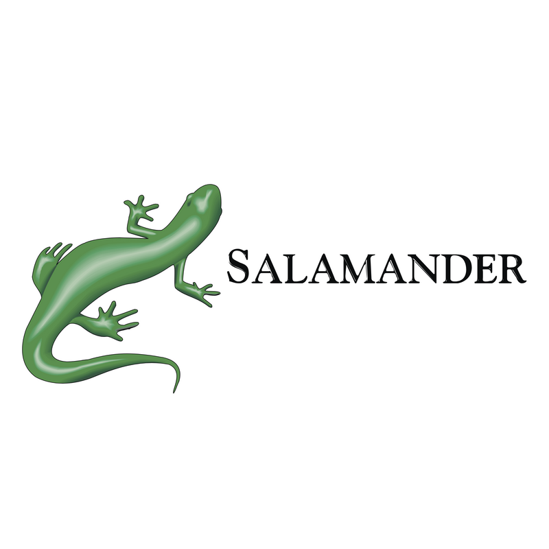 Salamander Logo PNG Vector, Ikona