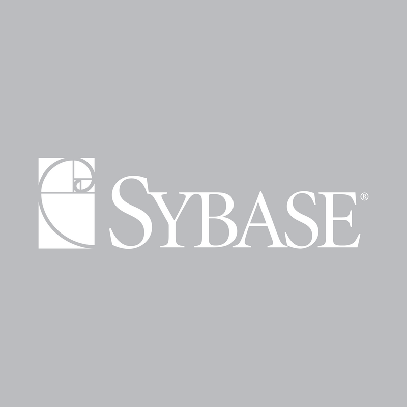 Sybase 标志 PNG Vector  PNG