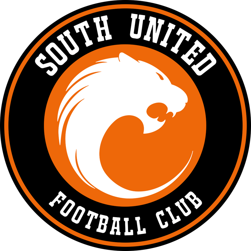 South United FC Logo PNG Vector, Ikona