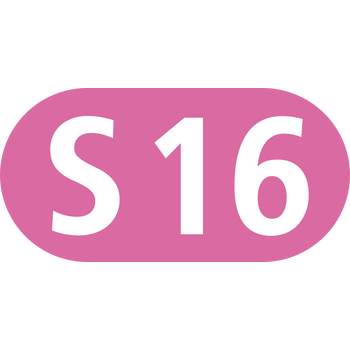 S16 Logo PNG