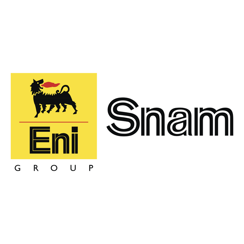 Snam Logo PNG Vector  PNG