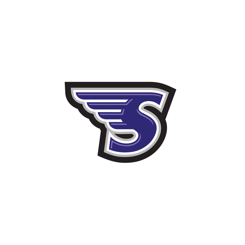Stonehill Skyhawks Logo PNG Vector  PNG