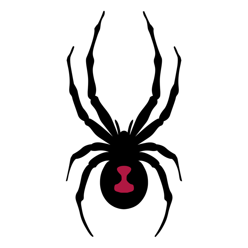 Spyder Logo PNG Vector  PNG