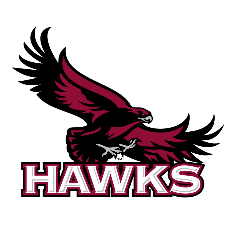 Saint Joseph's Hawks Logo PNG Vector  PNG