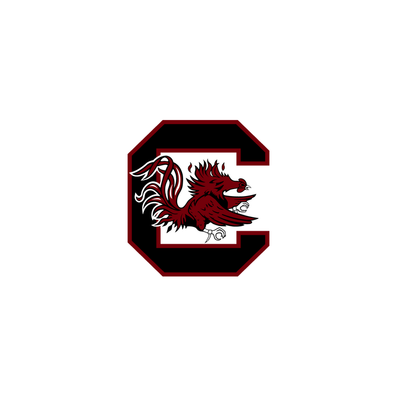 South Carolina Gamecocks Logo PNG Vector  PNG