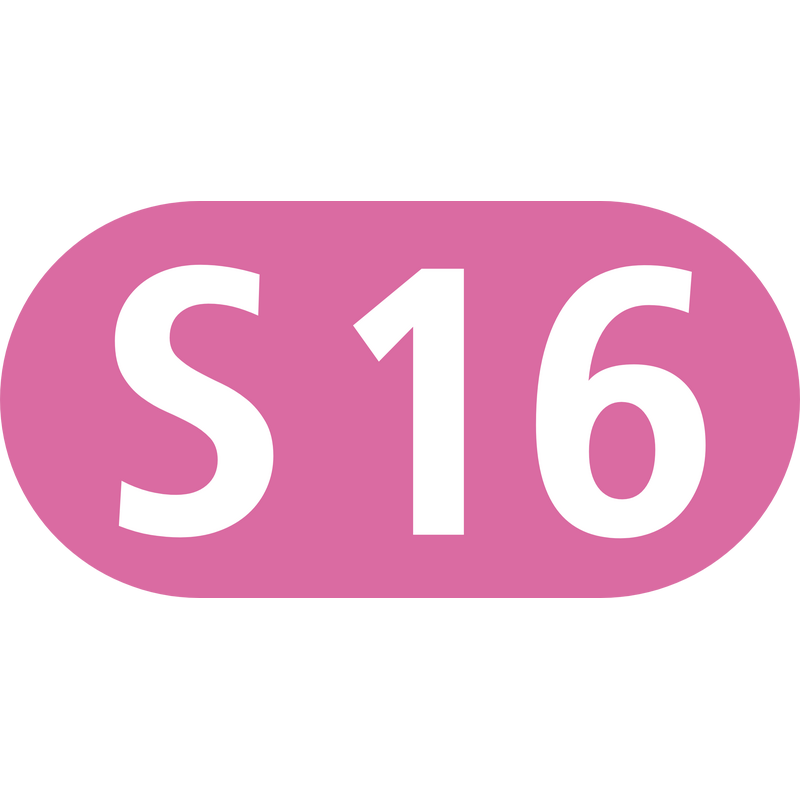 S16 Logo PNG Vector  PNG