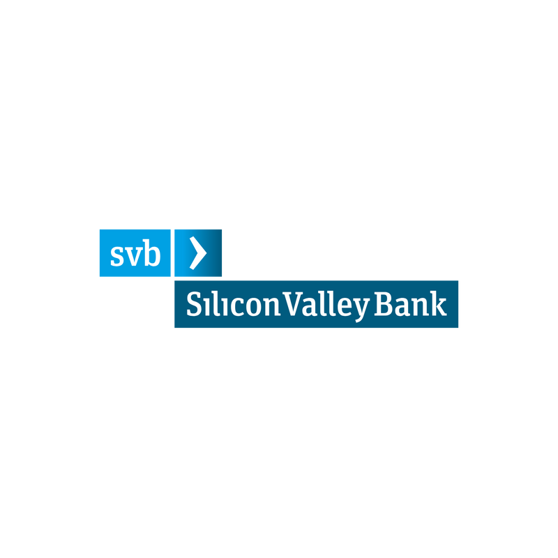 Svb Logo PNG Vector  PNG