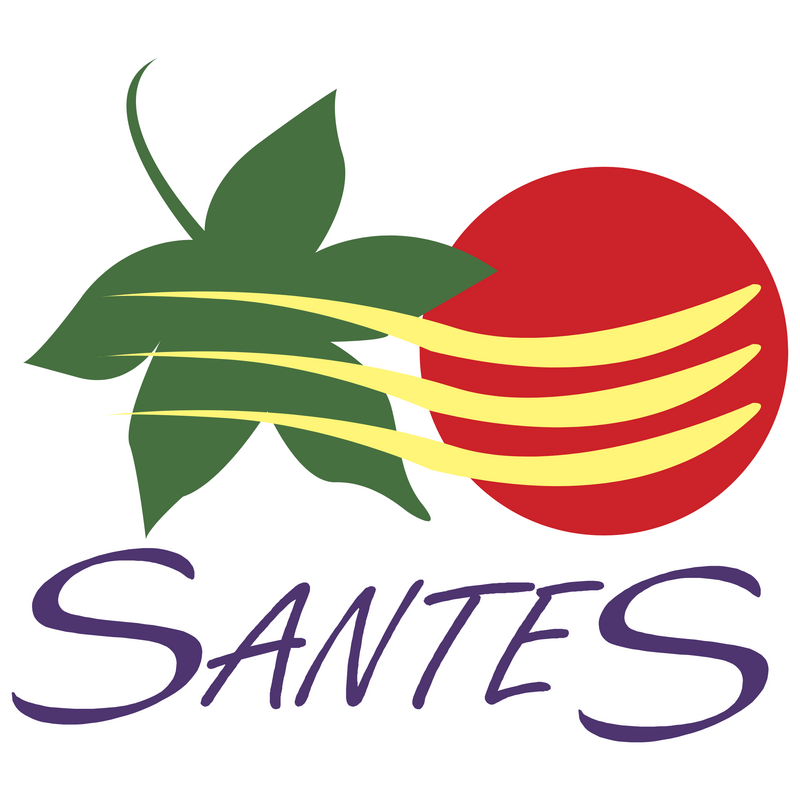 Santes Logo PNG Vector  PNG