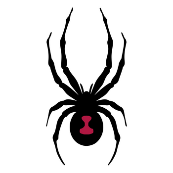 Spyder Logo PNG