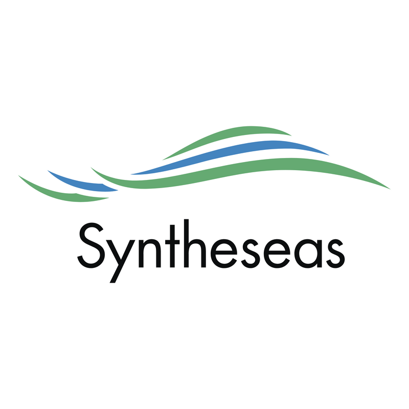 Syntheseas Logo PNG Vector  PNG