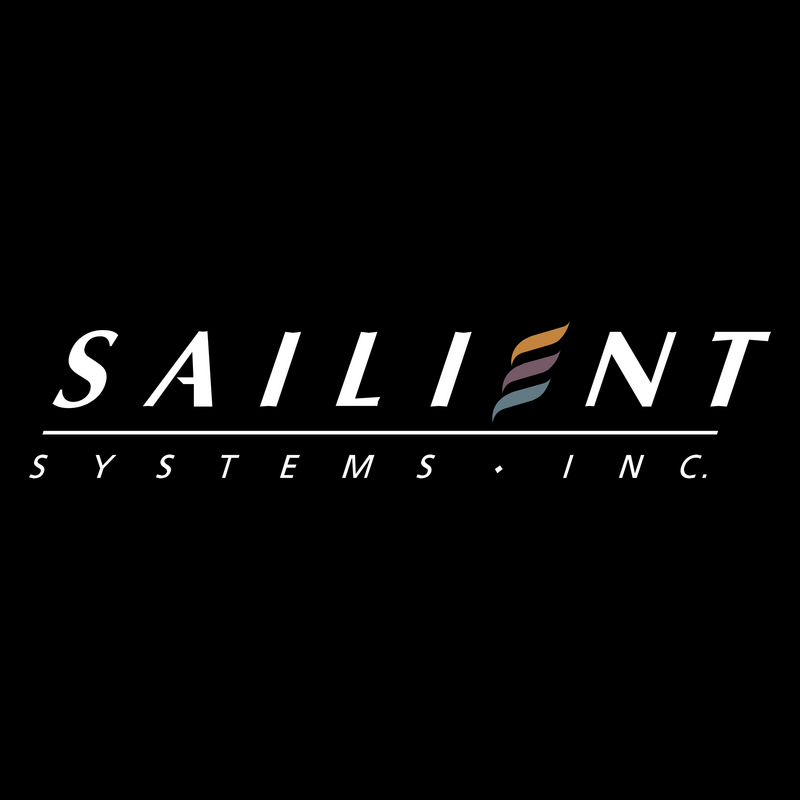 Sailint Systems Logo PNG Vector  PNG