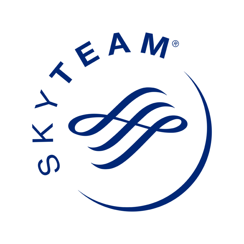 Download Skyteam Logo PNG Transparent Background