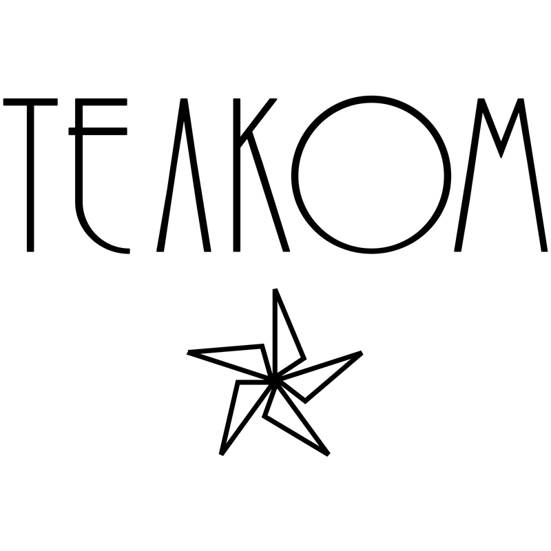 Telkom Logo PNG Vector  PNG