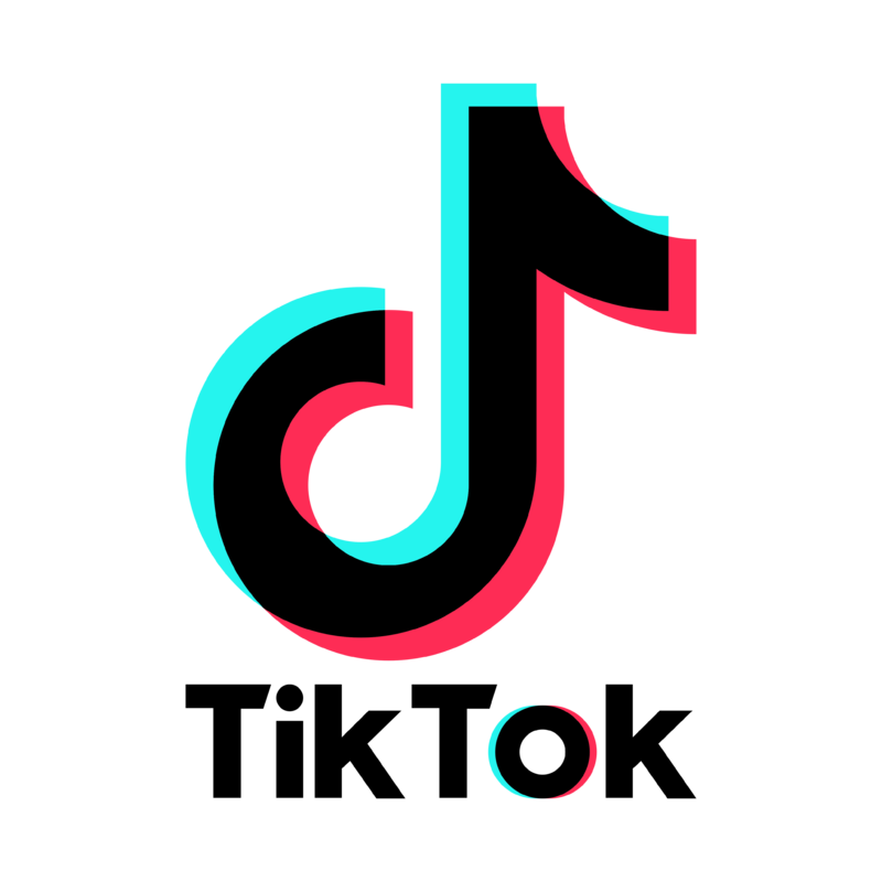 Download Tiktok Logo PNG Transparent Background