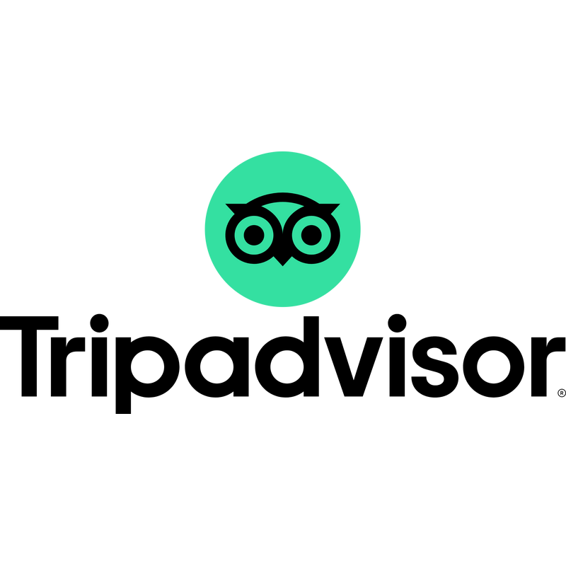 Tripadvisor  Circle Green Vertical Lockup Registered Rgb Logo PNG Vector  PNG