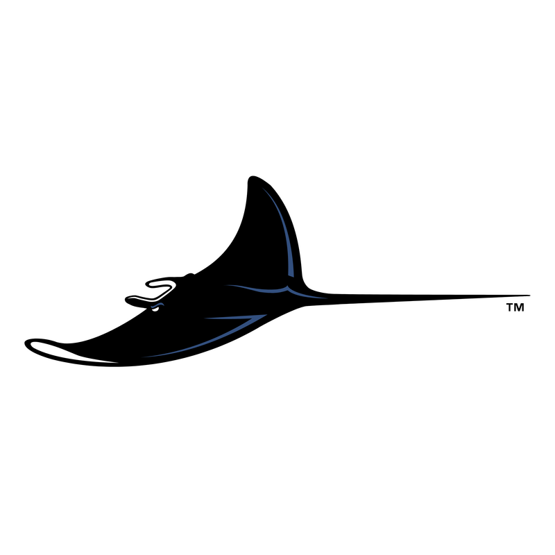 Tampa Bay Devil Rays Logo PNG Vector  PNG