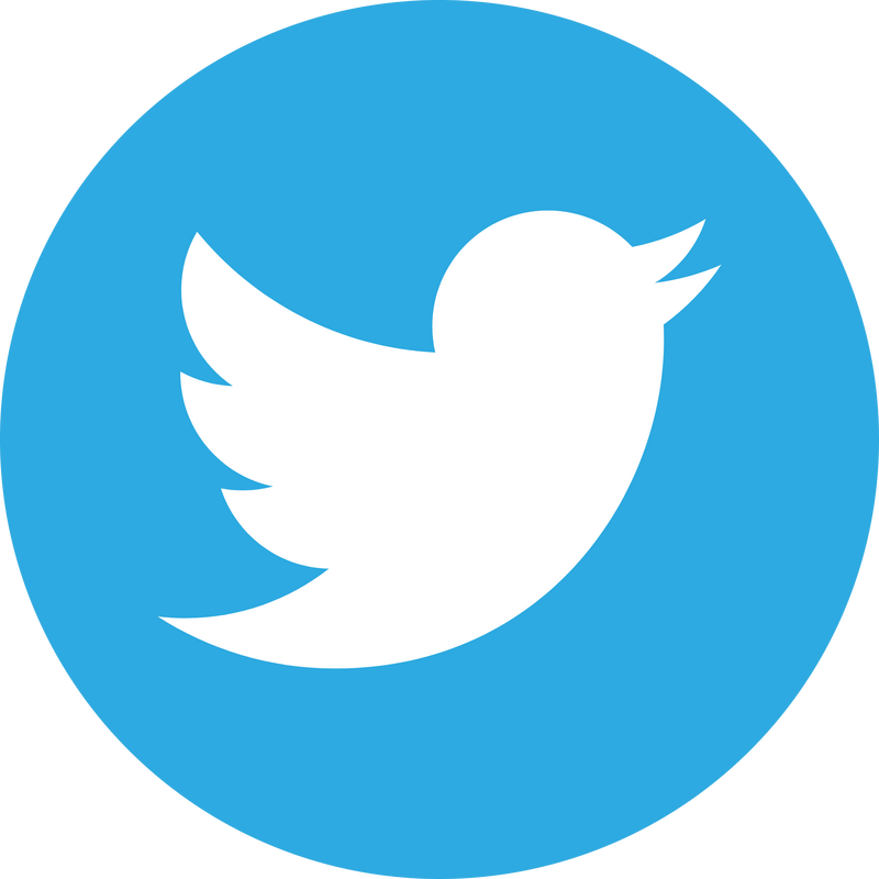 Twitter Icon Logo PNG Vector  PNG