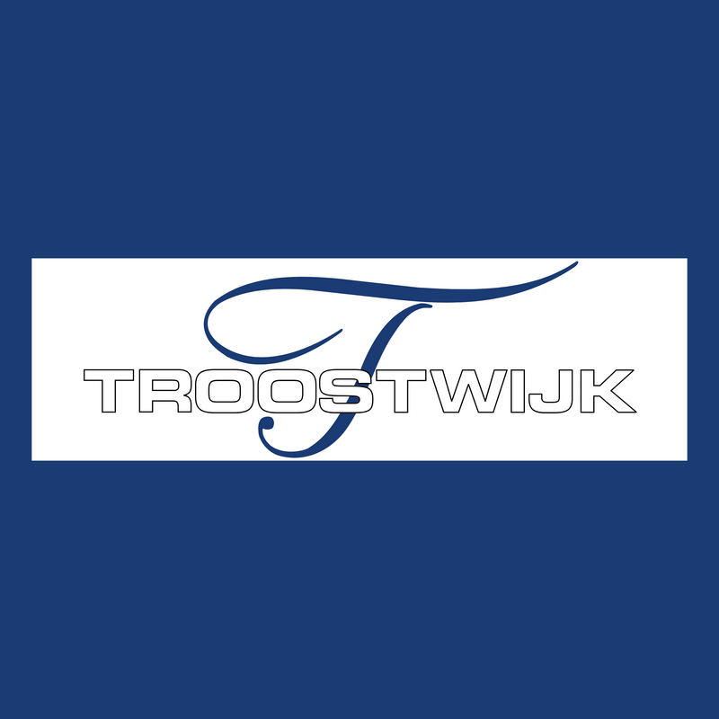 Troostwijk Logo PNG Vector  PNG